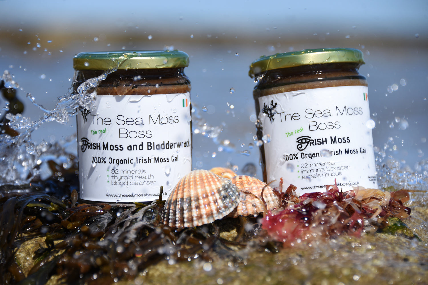 Irish Sea Moss Gels – The Sea Moss Boss