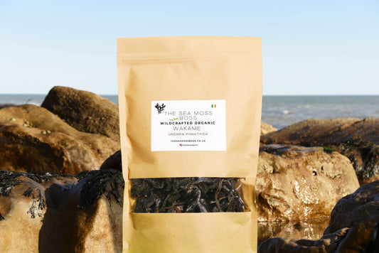 Atlantic Wakame